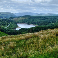 Buy canvas prints of Cantref Reservoir by Diana Mower