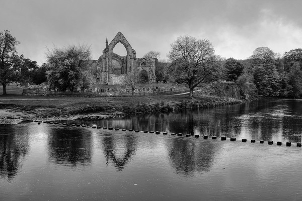 Bolton Abbey Yorkshire Picture Board by Diana Mower