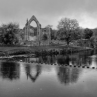 Buy canvas prints of Bolton Abbey Yorkshire by Diana Mower