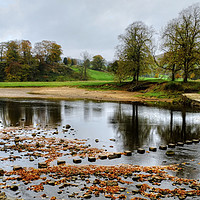 Buy canvas prints of Bolton Abbey Stepping Stones by Diana Mower