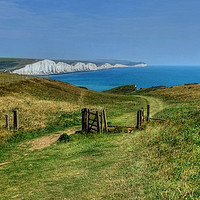 Buy canvas prints of The Seven Sisters  by Diana Mower