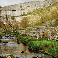 Buy canvas prints of Malham Cove by Diana Mower