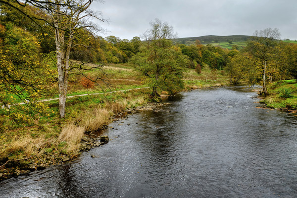 The River Wharfe Yorkshire Picture Board by Diana Mower