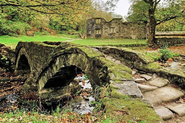 Wycoller  Ancient Packhorse Bridge Picture Board by Diana Mower