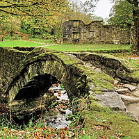 Buy canvas prints of Wycoller  Ancient Packhorse Bridge by Diana Mower