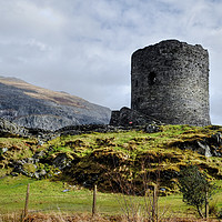 Buy canvas prints of Dolbadarn Castle by Diana Mower
