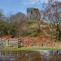 Buy canvas prints of Dolbadarn Castle Entrance by Diana Mower