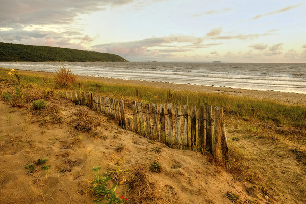Early evening Sand Bay  Picture Board by Diana Mower