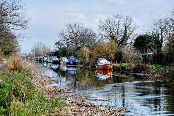 Heybridge Canal boats Essex Picture Board by Diana Mower