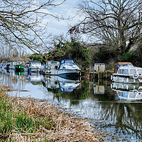 Buy canvas prints of Heybridge Canal boats by Diana Mower