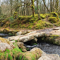 Buy canvas prints of Ancient Clapper Bridge Dartmoor by Diana Mower