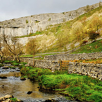 Buy canvas prints of  Approaching Malham Cove  by Diana Mower