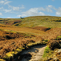 Buy canvas prints of Path to Top Withens by Diana Mower