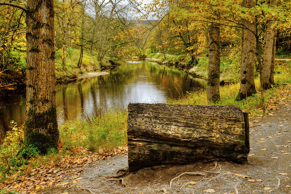 The River Wharfe Coin Seat Picture Board by Diana Mower