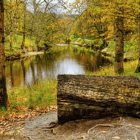 Buy canvas prints of The River Wharfe Coin Seat by Diana Mower