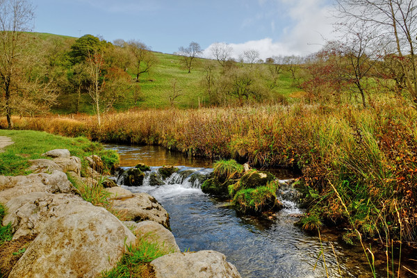  Malham Beck Picture Board by Diana Mower