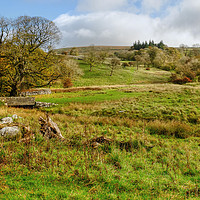 Buy canvas prints of  Malham Hills Yorkshire by Diana Mower