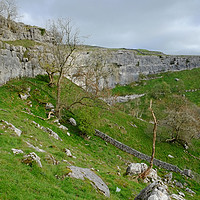 Buy canvas prints of Malham Cove Landscape by Diana Mower