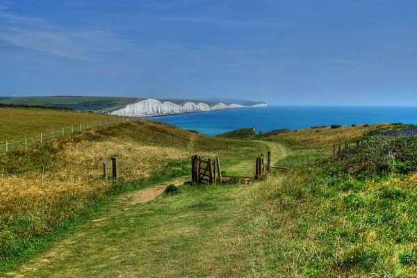 Seven Sisters Sussex Picture Board by Diana Mower
