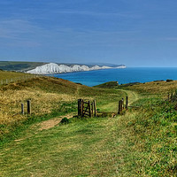 Buy canvas prints of Seven Sisters Sussex by Diana Mower