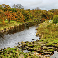 Buy canvas prints of The River Wharfe Yorkshire by Diana Mower