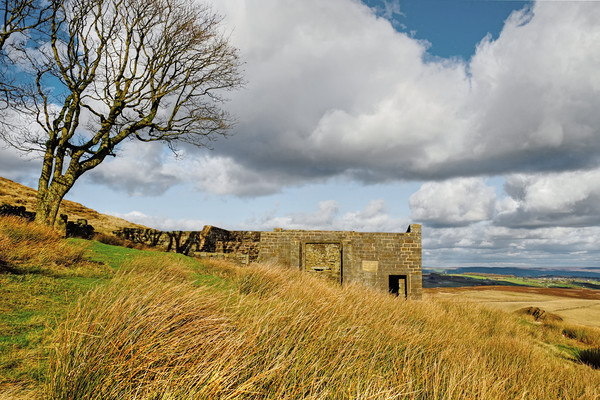 Top Withens Haworth Moor Picture Board by Diana Mower