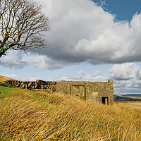 Buy canvas prints of Top Withens Haworth Moor by Diana Mower