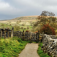 Buy canvas prints of  Malham Hills Yorkshire by Diana Mower