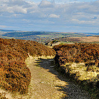 Buy canvas prints of Haworth from the moors by Diana Mower