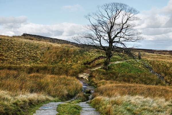 The Pennine Way Footpath Picture Board by Diana Mower