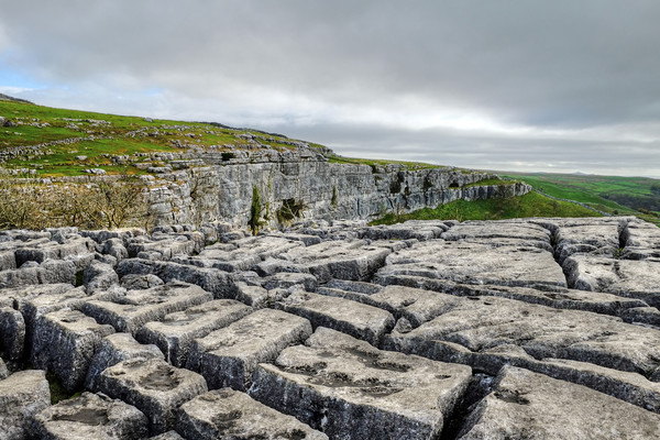 Limestone Pavement above Malham Cove Picture Board by Diana Mower