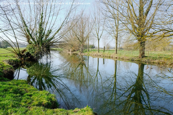 The River Stour in Winter Picture Board by Diana Mower