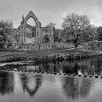 Buy canvas prints of Bolton Abbey monochrome by Diana Mower