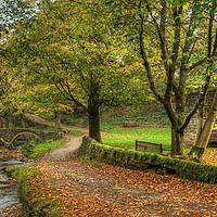 Buy canvas prints of Wycoller Lancashire by Diana Mower