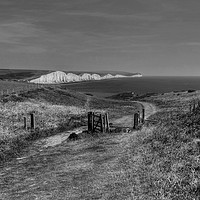 Buy canvas prints of Seven Sisters Walk in Monochrome by Diana Mower