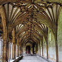 Buy canvas prints of Canterbury Cathedral Cloisters by Diana Mower