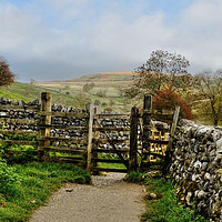 Buy canvas prints of  Malham Hills Yorkshire Dales by Diana Mower