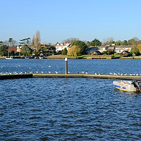 Buy canvas prints of Oulton Broad by Diana Mower