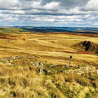 Buy canvas prints of Middle Withens, Stanbury Moor by Diana Mower