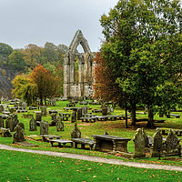 Buy canvas prints of Bolton Priory Ruins Yorkshire by Diana Mower