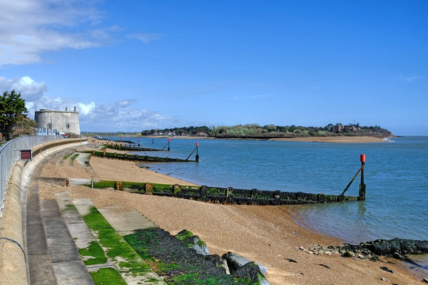 Felixstowe Ferry and Bawdsey Quay Picture Board by Diana Mower