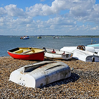 Buy canvas prints of Bawdsey Quay by Diana Mower