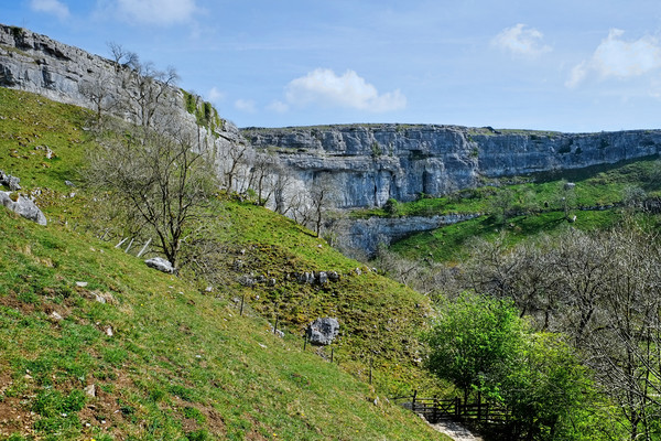  Malham Cove  Picture Board by Diana Mower