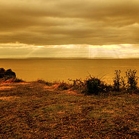 Buy canvas prints of Sand Point, Kewstoke, Somerset by Diana Mower