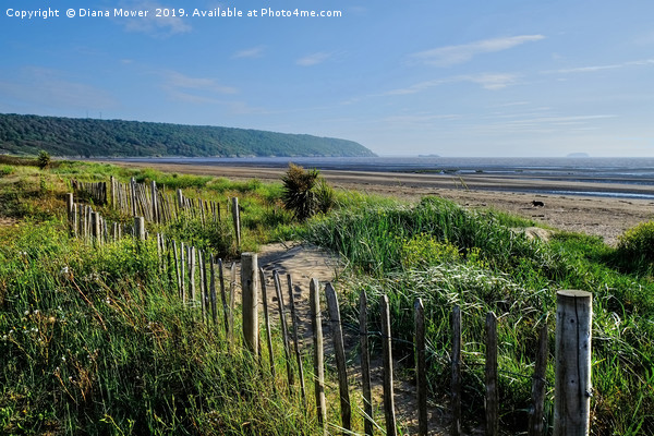 Sand Bay Beach Somerset Picture Board by Diana Mower