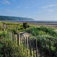 Buy canvas prints of Sand Bay Beach Somerset by Diana Mower