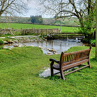 Buy canvas prints of  Malham Village by Diana Mower