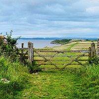 Buy canvas prints of Sand Point to Middle Hope Somerset by Diana Mower