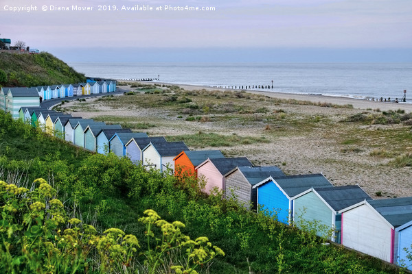 Pakefield Beach Huts Picture Board by Diana Mower