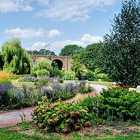 Buy canvas prints of Chelmsford Central Park by Diana Mower